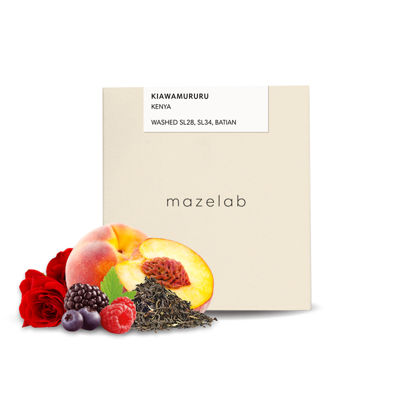 Specialty coffee Mazelab Kenya KIAWAMARURU