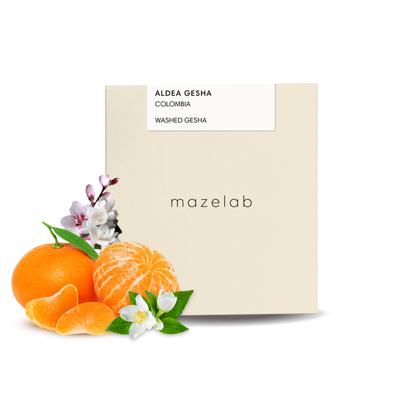 Specialty coffee Mazelab Colombia ALDEA - gesha