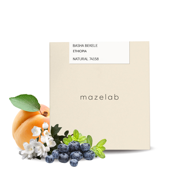 Specialty coffee Mazelab Ethiopia BASHA BEKELE