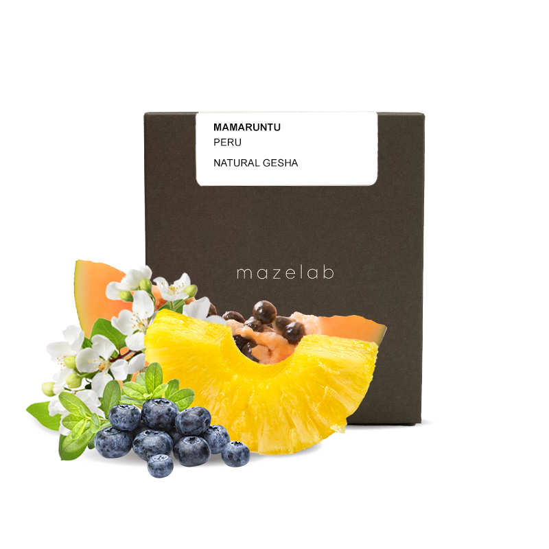 Specialty coffee Mazelab Peru MAMARUNTU GESHA - Cup of Excellence #14 - 100g