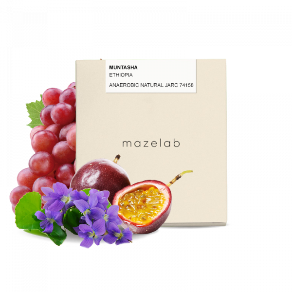 Specialty coffee Mazelab Ethiopia MUNTASHA - anaerobic natural