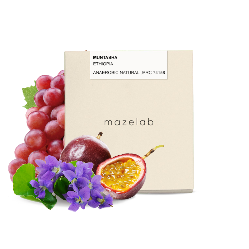 Specialty coffee Mazelab Ethiopia MUNTASHA - anaerobic natural