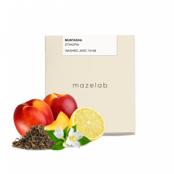 Ethiopia MUNTASHA - washed - Mazelab