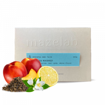 Ethiopia MUNTASHA - washed - Mazelab