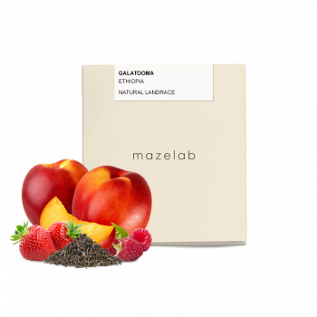Ethiopia GALATOOMA - Mazelab
