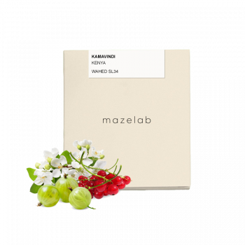 Kenya KAMAVINDI - Mazelab