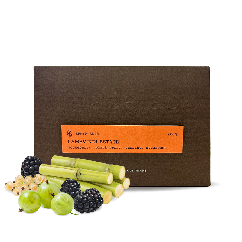 Specialty coffee Mazelab Kenya KAMAVINDI SL28