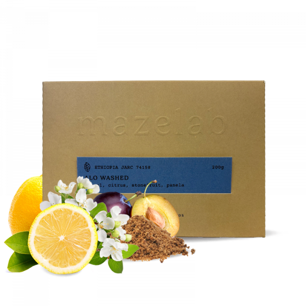 Specialty coffee Mazelab Ethiopia ALO WASHED