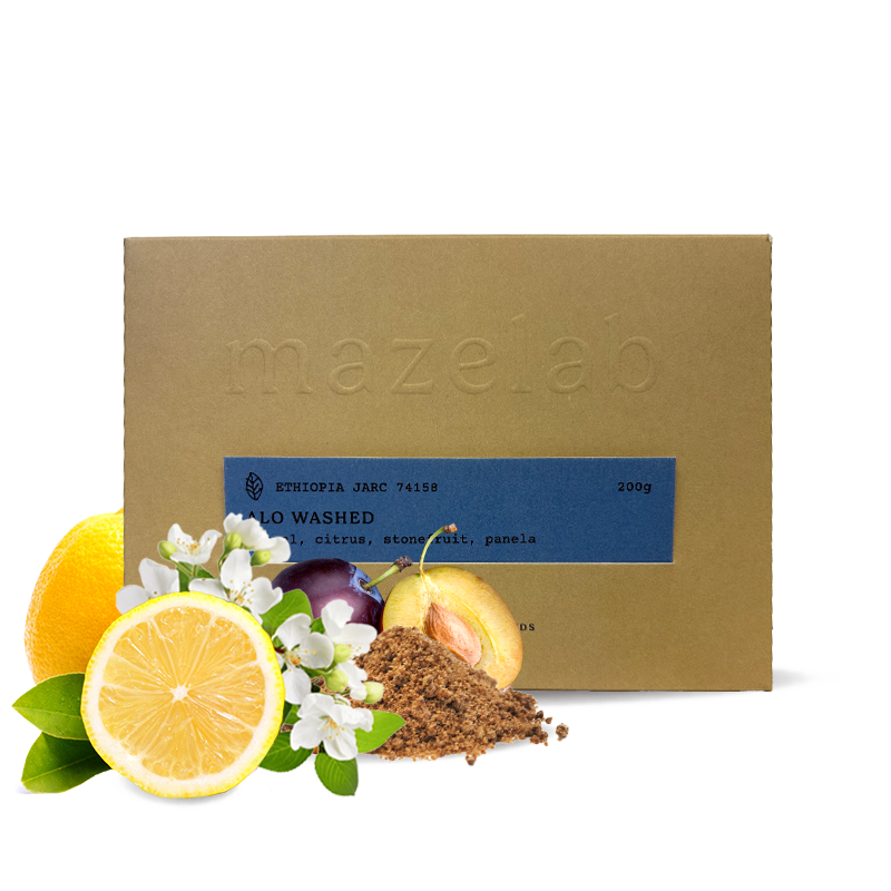 Specialty coffee Mazelab Ethiopia ALO WASHED