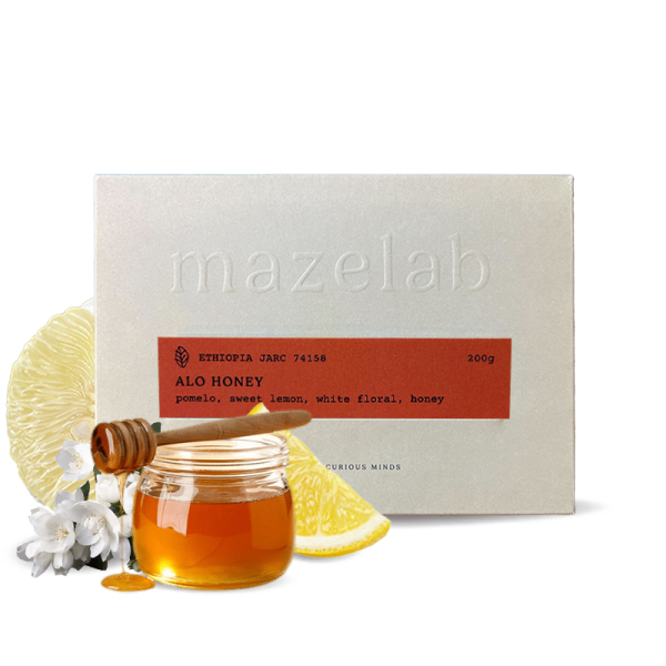 Specialty coffee Mazelab Ethiopia ALO HONEY