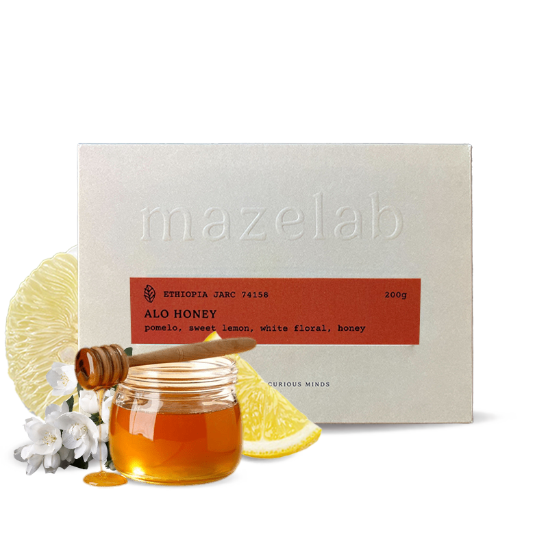 Specialty coffee Mazelab Ethiopia ALO HONEY