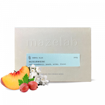 Kenya MUKURWEINI - Mazelab