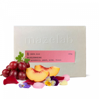 Kenya MUKURWEINI WASHED - Mazelab