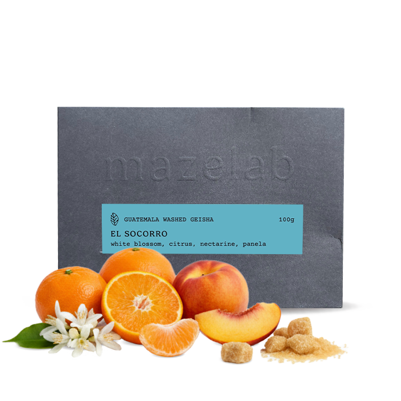 Specialty coffee Mazelab Guatemala EL SOCORRO - 100g