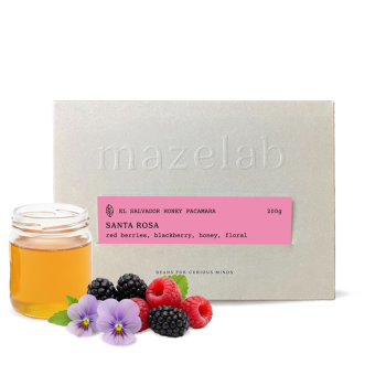 El Salvador SANTA ROSA - Mazelab