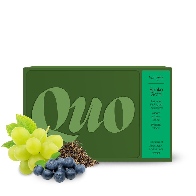 Specialty coffee Quo Coffee Ethiopia BANKO GOTITI