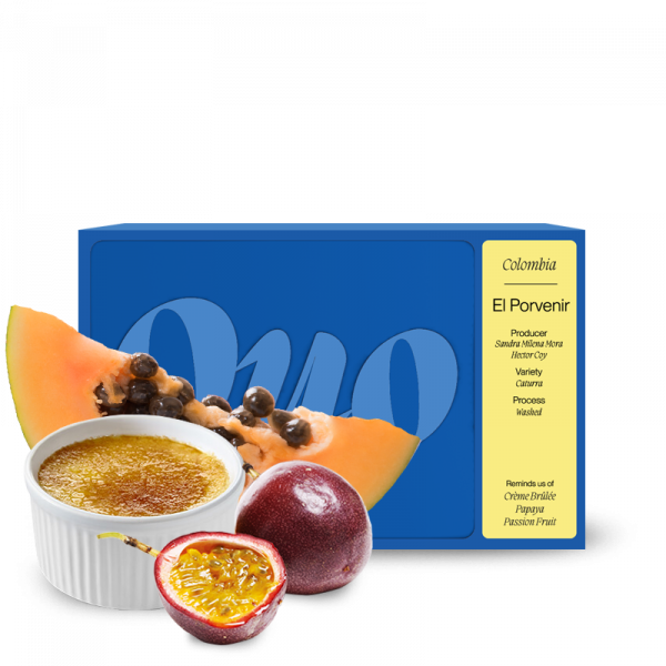 Specialty coffee Quo Coffee Colombia EL PORVENIR