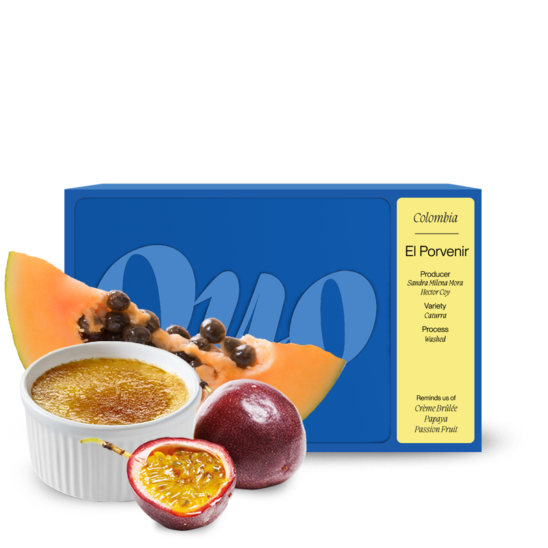 Specialty coffee Quo Coffee Colombia EL PORVENIR