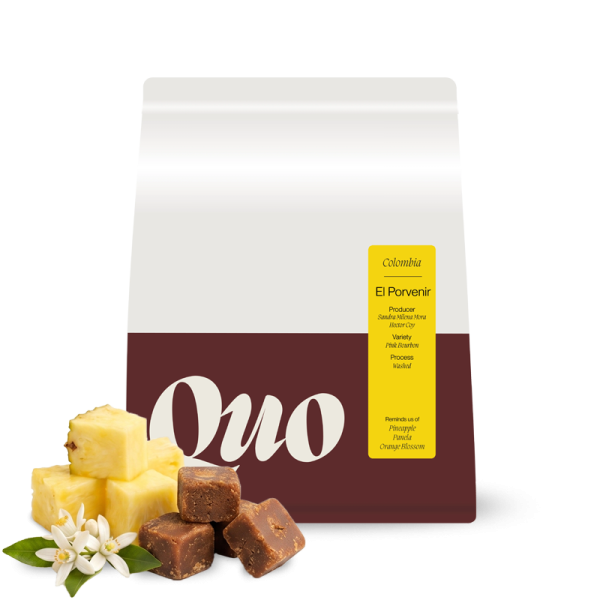Specialty coffee Quo Coffee Colombia FINCA EL PORVENIR ROSADO