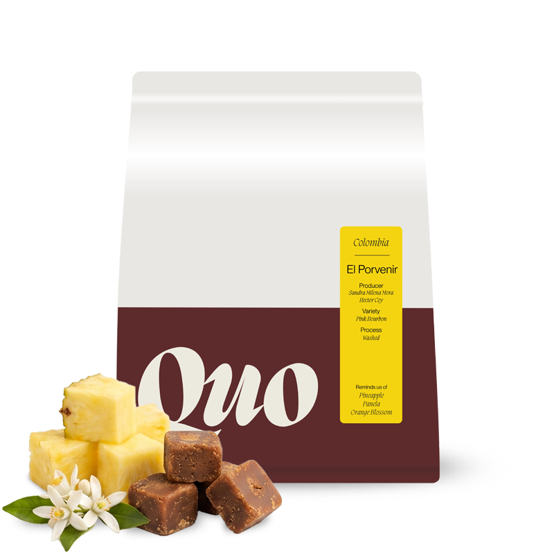 Specialty coffee Quo Coffee Colombia FINCA EL PORVENIR ROSADO