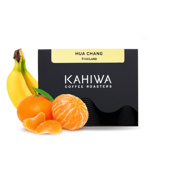 Specialty coffee Kahiwa Coffee Roasters Thailand HUA CHANG