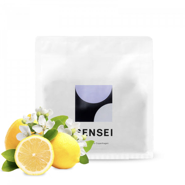 Specialty coffee Sensei Coffee Kenya INOI NDIMI