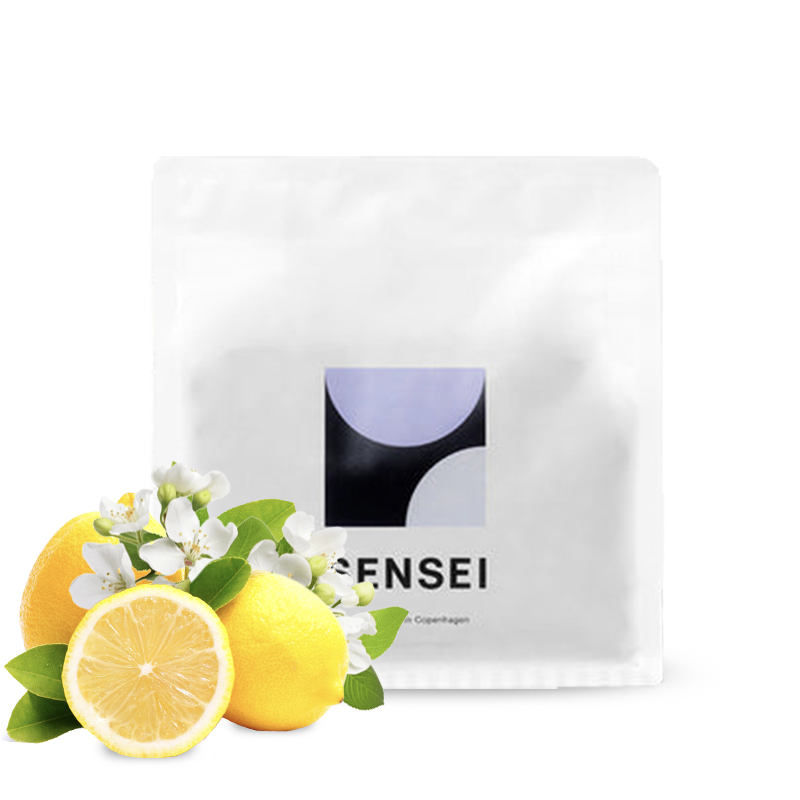 Specialty coffee Sensei Coffee Kenya INOI NDIMI
