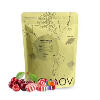 Brazil OTÁVIO REIS - SlowMow