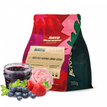 Costa Rica HACIENDA SONORA - geisha - HAYB Speciality Coffee