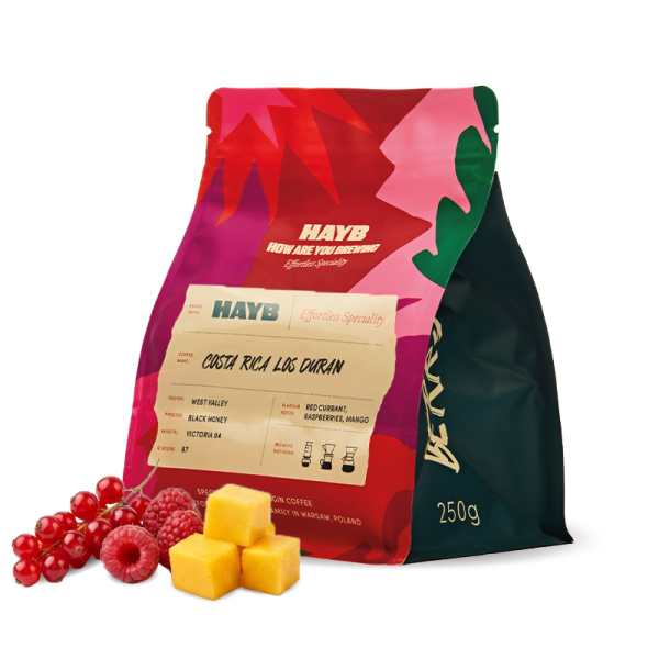 Specialty coffee HAYB Speciality Coffee Costa Rica LOS DURAN