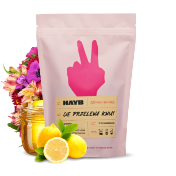 Ethiopia ACACIA - KWIAT Blend - 500 g - HAYB Speciality Coffee