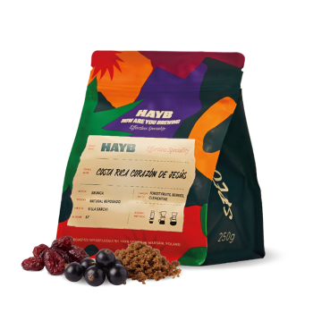 Costa Rica CORAZÓN DE JESÚS - HAYB Speciality Coffee