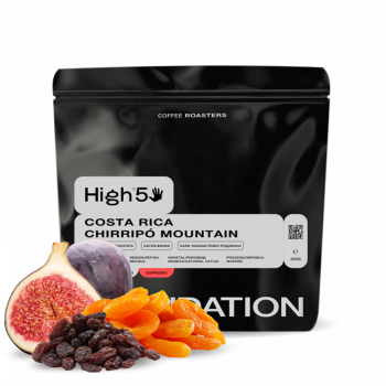Costa Rica CHIRRIPO MOUNTAIN - Foundation Coffee