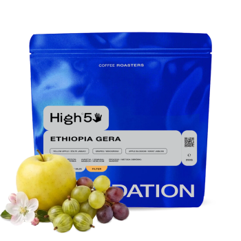 Ethiopia GERA - Foundation Coffee