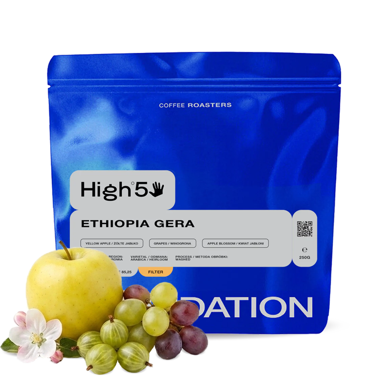 Specialty coffee Foundation Coffee Ethiopia GERA