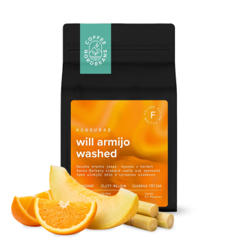 Honduras WILL ARMIJO WASHED - Geisha - Nordbeans