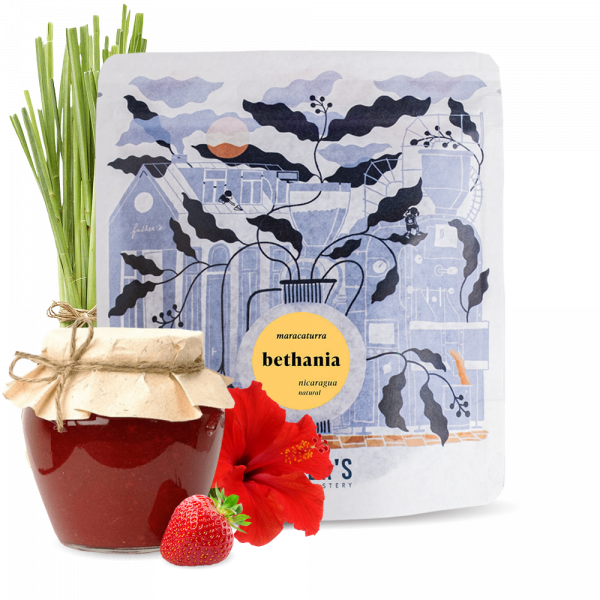 Specialty coffee Father's Coffee Roastery Nicaragua BETHANIA MARACATURRA