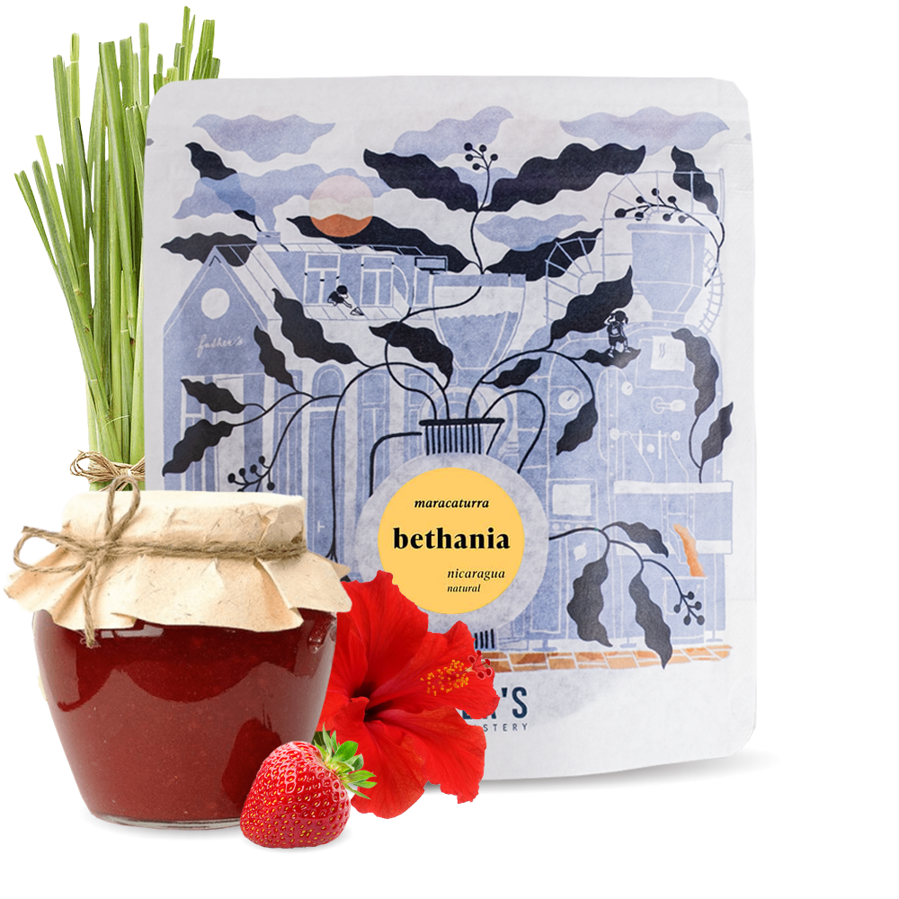 Specialty coffee Father's Coffee Roastery Nicaragua BETHANIA MARACATURRA