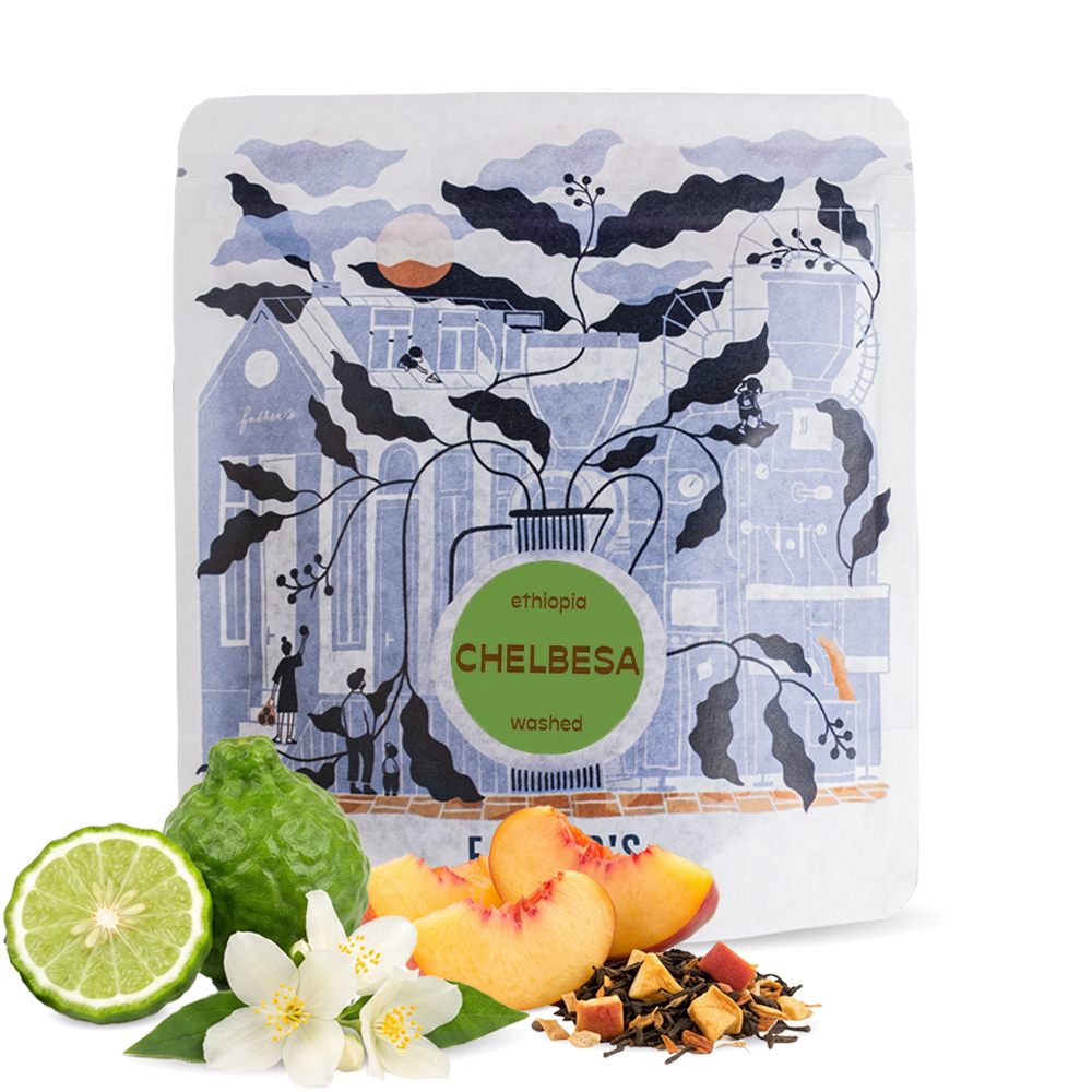 Specialty coffee Father's Coffee Roastery Ethiopia CHELBESA
