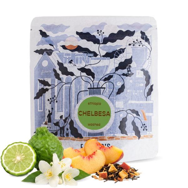 Specialty coffee Father's Coffee Roastery Ethiopia CHELBESA