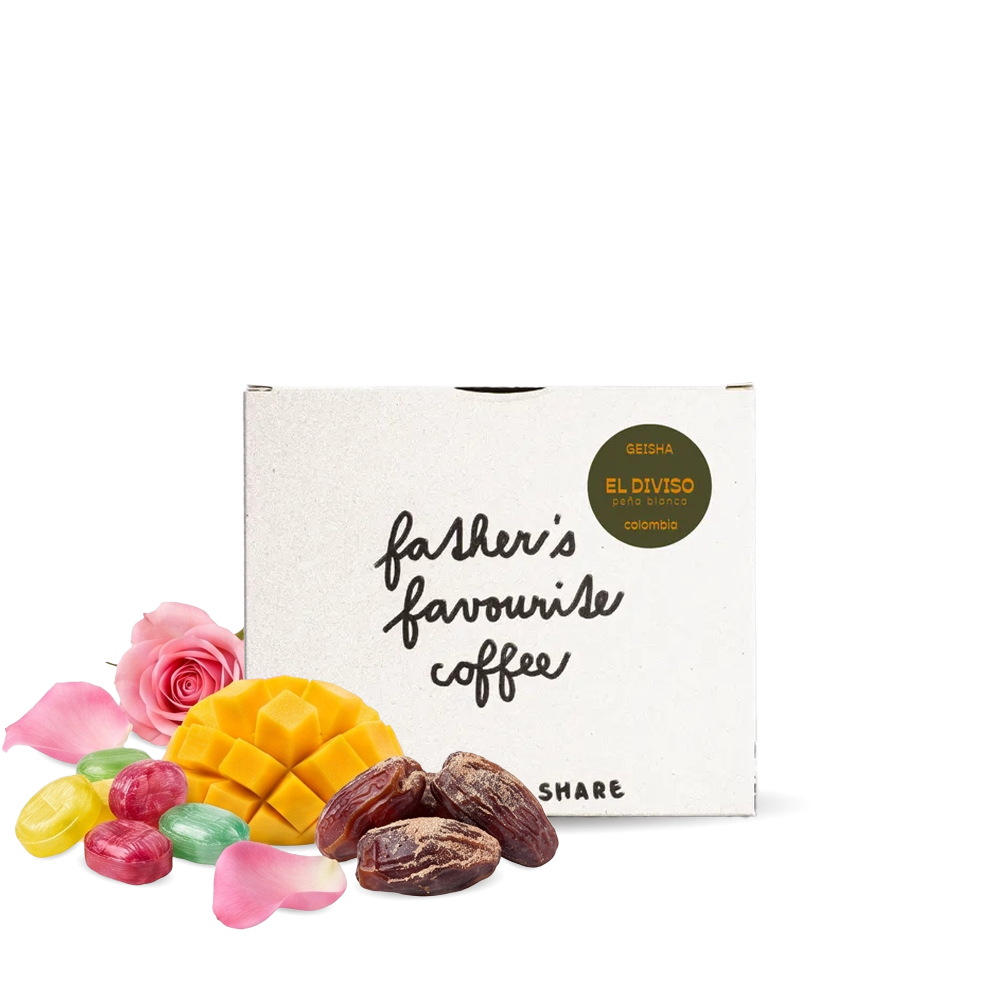 Specialty coffee Father's Coffee Roastery Colombia EL DIVISO - 100 g