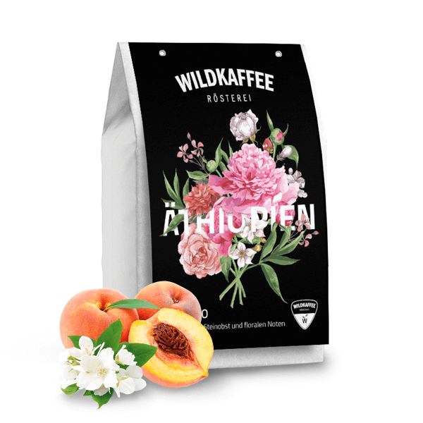 Specialty coffee Wildkaffee Rösterei Etiopie GURACHO