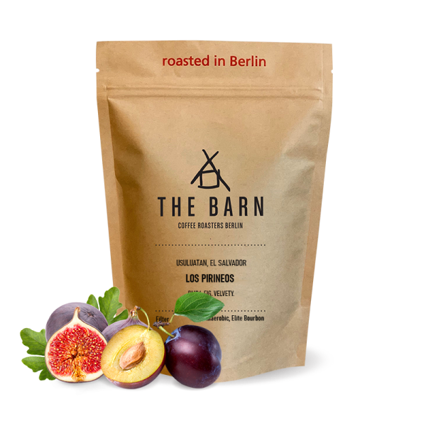 Specialty coffee The Barn El Salvador LOS PIRINEOS ANAEROBIC - 2023