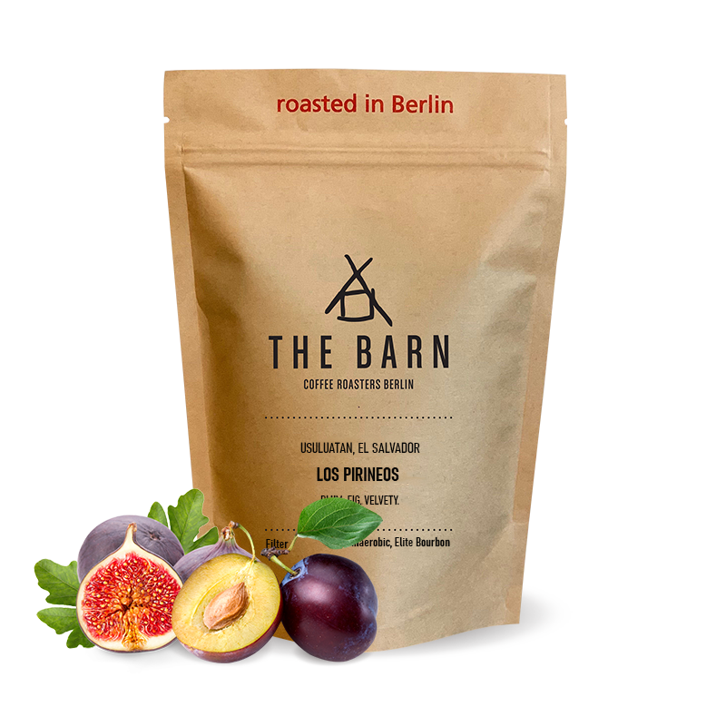 Specialty coffee The Barn El Salvador LOS PIRINEOS ANAEROBIC - 2023