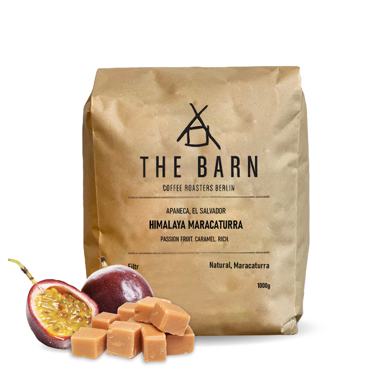 Specialty coffee The Barn El Salvador HIMALAYA MARACATURRA - 1000g