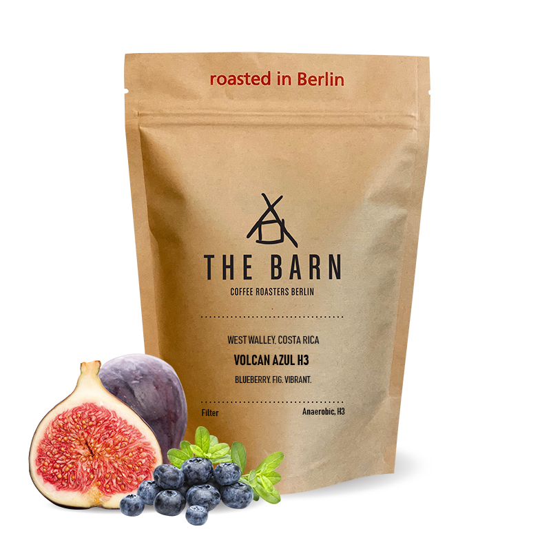 Specialty coffee The Barn Costa Rica VOLCAN AZUL H3