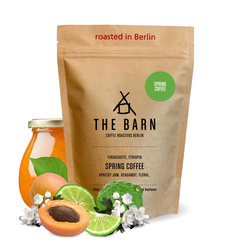 Specialty coffee The Barn Ethiopia SPRING COFFEE