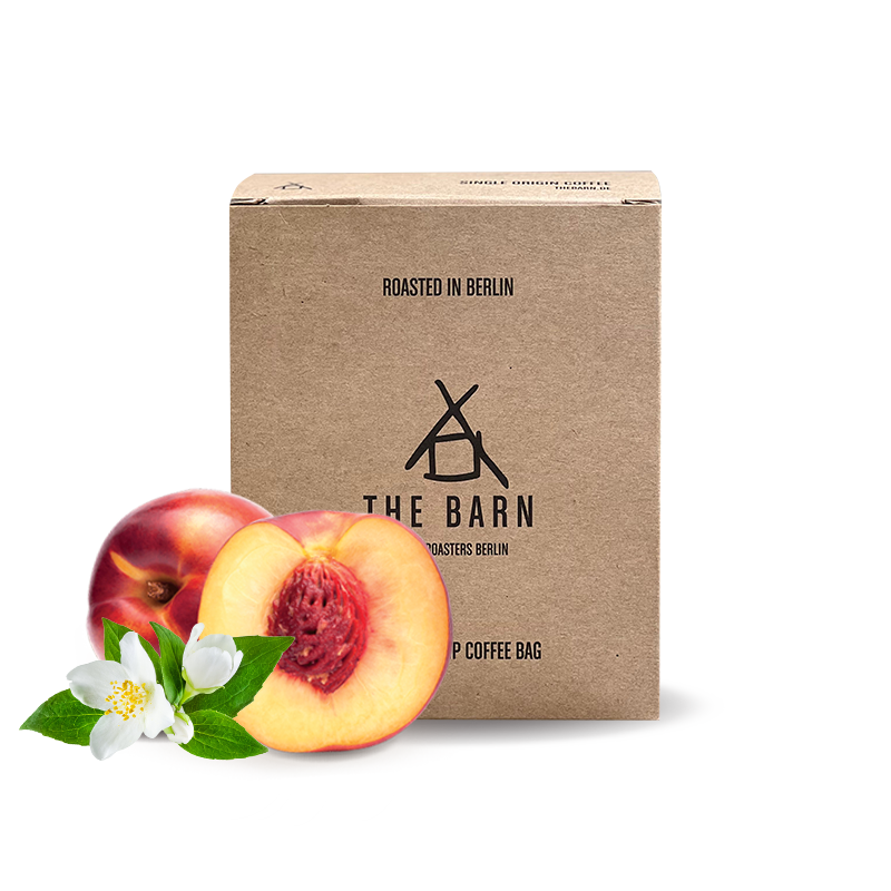 Specialty coffee The Barn Ethiopia MUSTAFA MOHAMED ALI - drip bags 10 pcs /bal