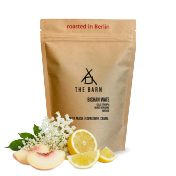 Ethiopia BISHAN WATE - The Barn