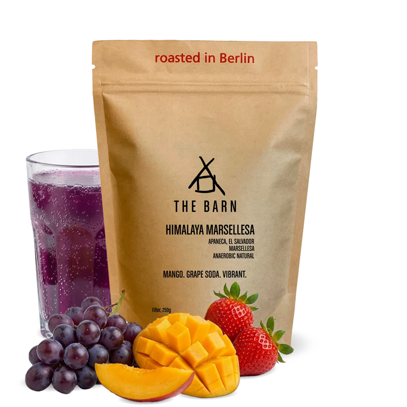 Specialty coffee The Barn El Salvador Himalaya Marselesa